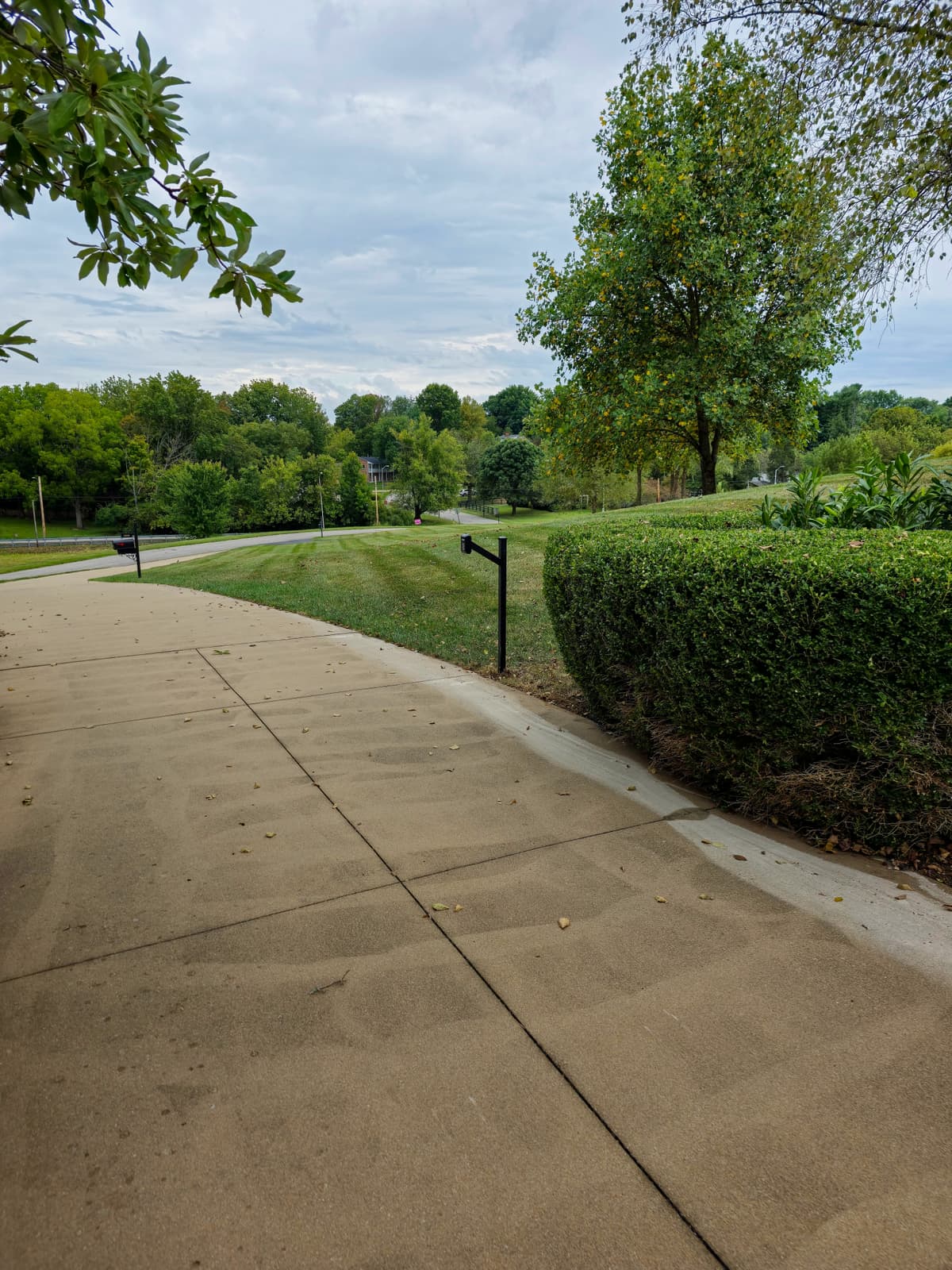 Choosing the Right Gate Opener Horsepower for Residential Properties